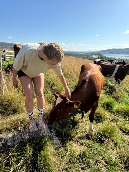 The ByG Brown Cow