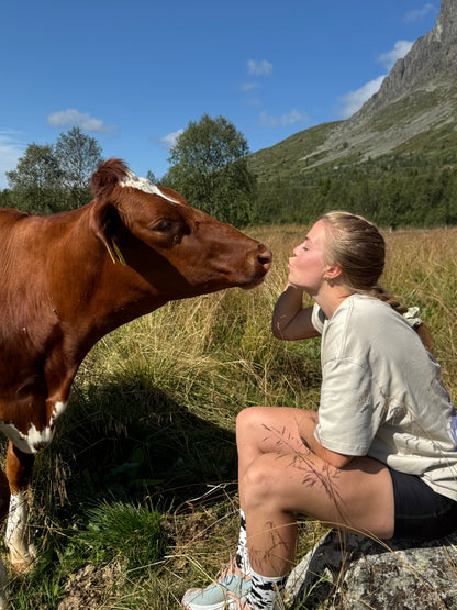 The ByG Brown Cow